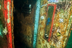 DSC00731x