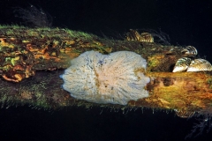 P3110130xx