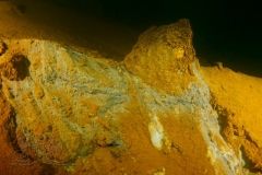 DSC03268x