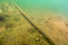 DSC04522x