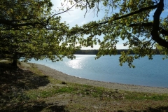 P1160836x