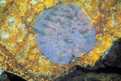 PA210028xx