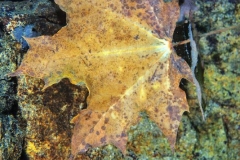 PA210030xx