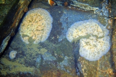 PA210032xx
