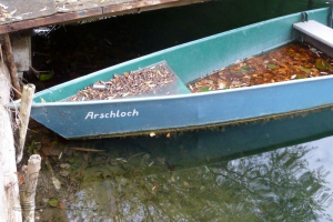 171104 Gewässererkundung