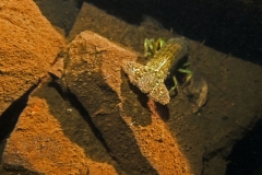 DSC05042xx