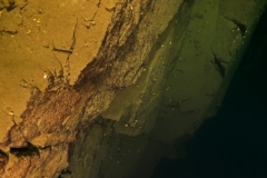 DSC05699x