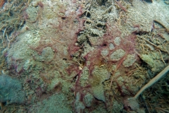 DSC05740x