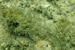 P3040009xx