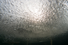 DSC06907x