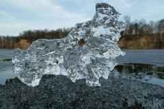 P1170038x