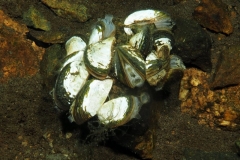 P3110036xx