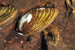 P3110042xx