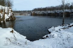 P1170074x
