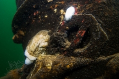 DSC07582x