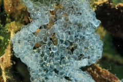 P6160069xx