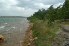P1170231x