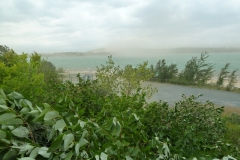 P1170235x