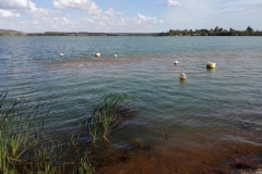 IMG_20180901_113020x