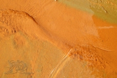 P1170899x