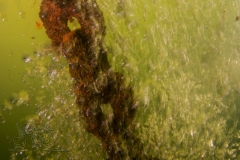 DSC00534x