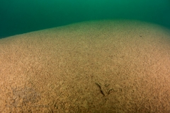 DSC00638x