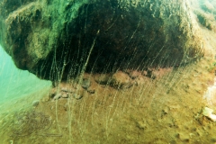 DSC00669x