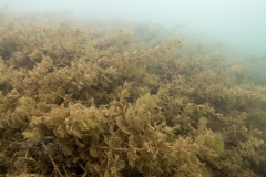 DSC00958x