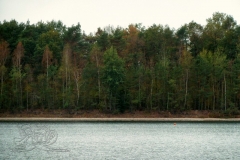 P1170991x