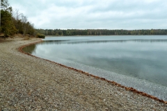P1170999x