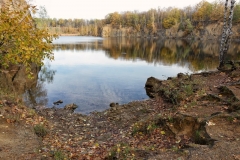 DSC02699x
