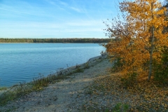 P1180021x