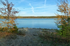 P1180022x