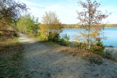 P1180023x