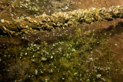 DSC03019x