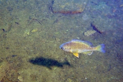 P1130037xx