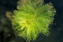 P1130090xx