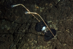 P1190110xx