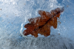 DSC04645x