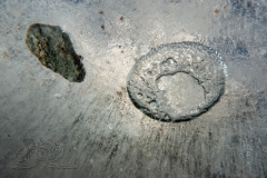 DSC04653x