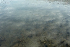 P1180116x