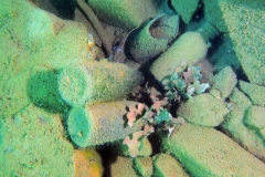 P4190070xx