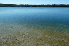 P1180235x