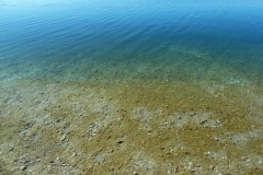 P1180237x