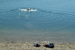 P1180254x