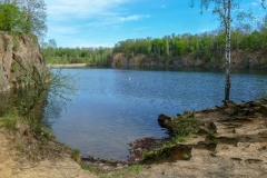 P1180264x