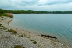 P1180423x