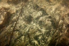 DSC07442x