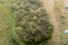 DSC09323x