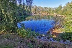 IMG_20190914_092834